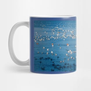 American White Pelican Migration Continues Mug